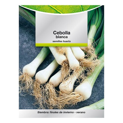 Semillas Cebolla Blanca (4 gramos) Semillas Verduras,  Horticultura,  Horticola,  Semillas Huerto.