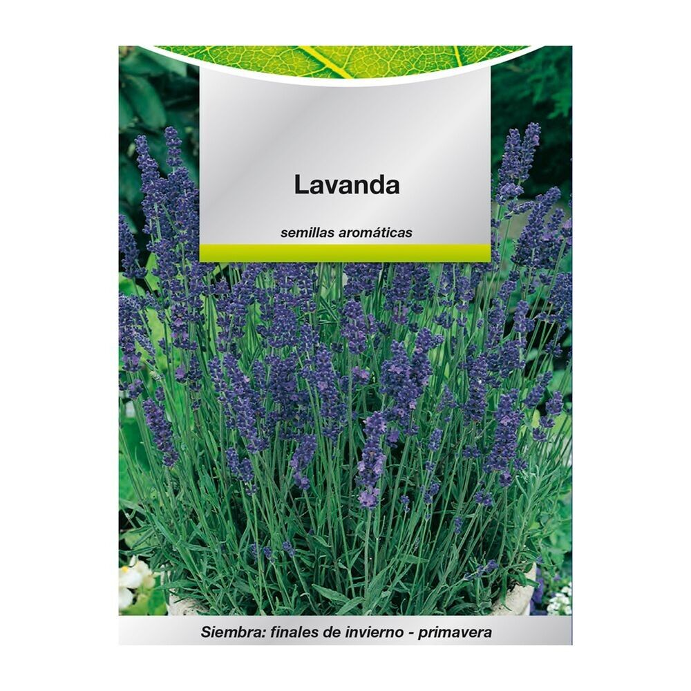 Graines aromatiques de lavande (0.5 grammes) Horticulture, Horticola, Graines de jardin.