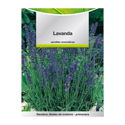 Semi Aromatici Di Lavanda (0.5 grammi) Orticoltura, Horticola, Semi da giardino.