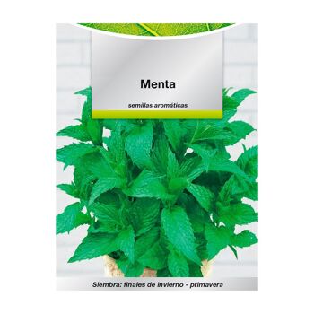 Graines de menthe aromatique (0.3 grammes) Horticulture, Horticola, Graines de jardin.