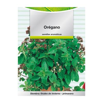 Semi Aromatici Di Origano (0.3 grammi) Orticoltura, Horticola, Semi da giardino.