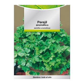 Graines aromatiques Persil aromatique (8 grammes) Horticulture, horticulture, graines de jardin.