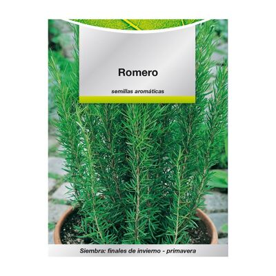 Graines aromatiques de romarin (0.1 gramme) Horticulture, Horticola, Graines de jardin.