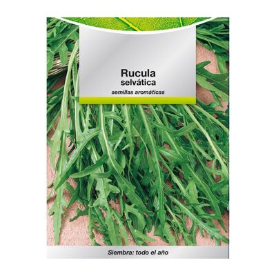Aromatische Samen Rucula Selvatica (2.5 Gramm) Gartenbau, Horticola, Gartensamen.