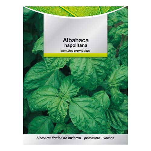 Semillas Aromáticas Albahaca Gigante (5 gramos) Horticultura,  Horticola,  Semillas Huerto.