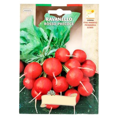 Early Red Radish Seeds (8 grams) Vegetable Seeds, Horticulture, Horticulture, Garden Seeds.