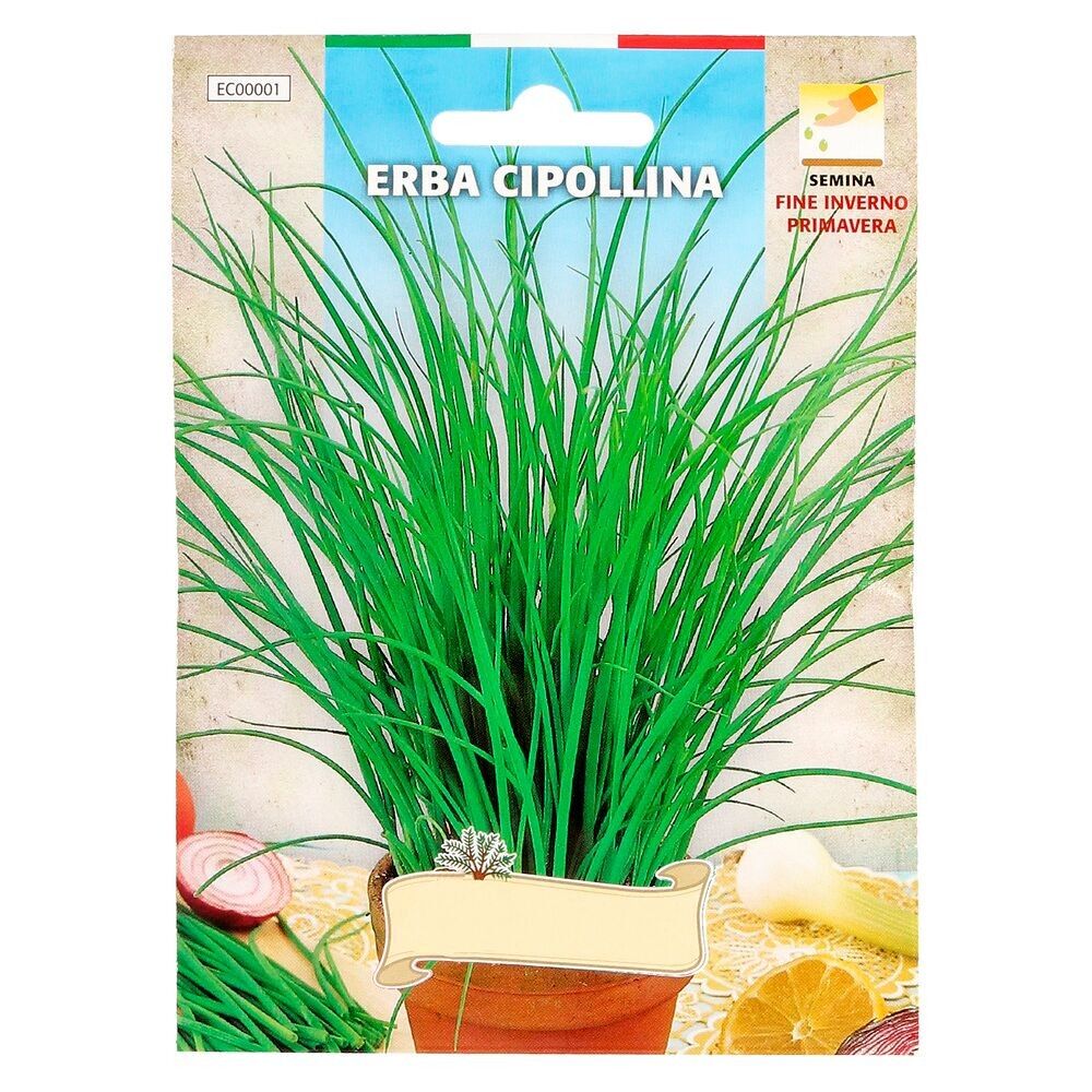 Aromatische Schnittlauchsamen (1 Gramm) Gartenbau, Gartenbau, Gartensamen.