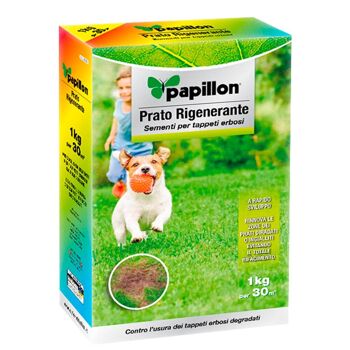 Graines de gazon de repeuplement 1 Kg.