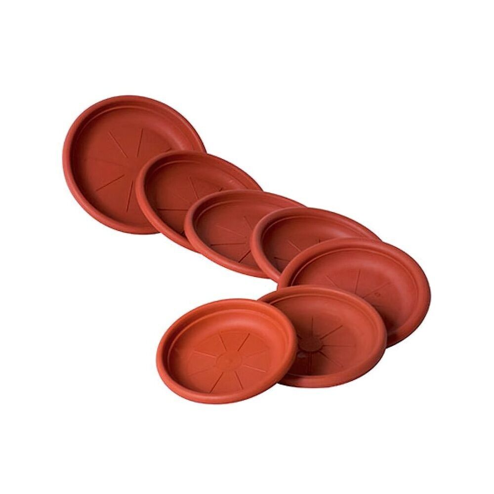 Piatto Pentola 25x2,3 cm.