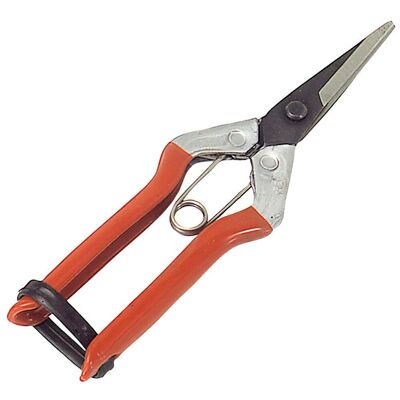 Grape Harvesting Scissors 1 Hand P 1552 180 mm.