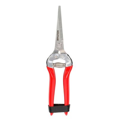 Collecting Scissors 200 mm.  1 Hand P-1802, Stainless Steel Blades.