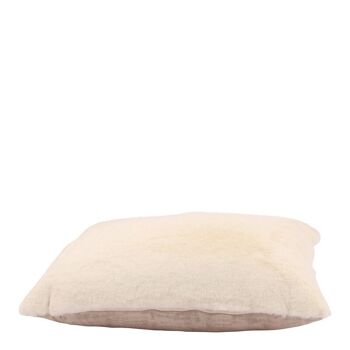 Coussin Igor 40x60 cm 2