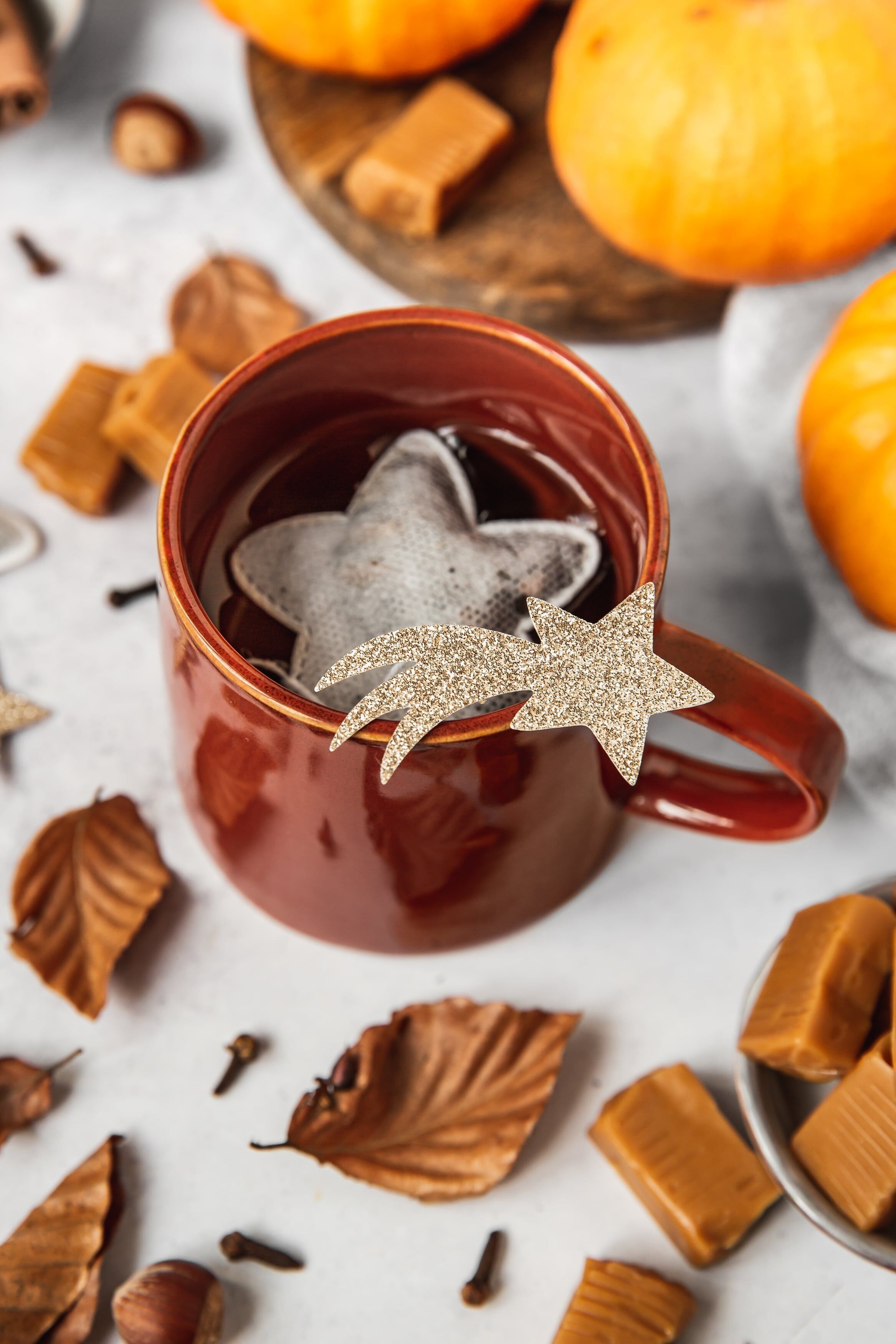 Star Bio-Teebeutel - Earl Grey