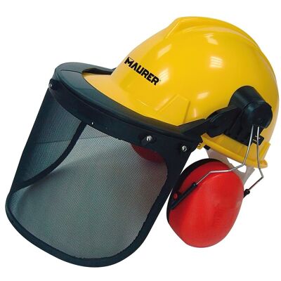 Helmet with visor, mesh face protector and hearing protector