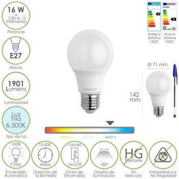 Ampoule LED standard à filetage E27. 16 watts. Équivalent à 130 watts. 1901 lumens. Lumière froide 6500º K.) 