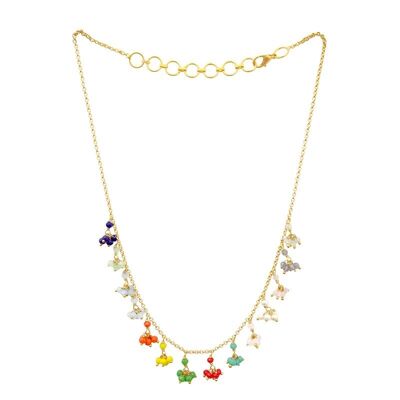 Collier de salinité multicolore