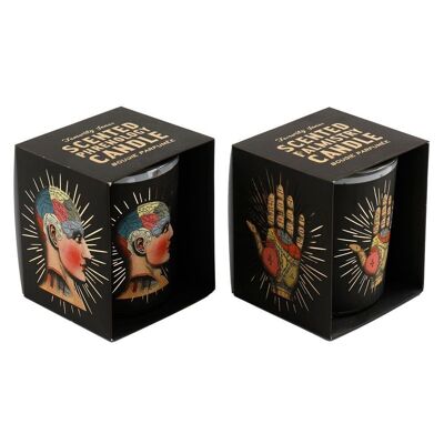 Phrenology & Palmistry Boxed Candle