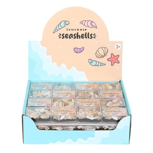 Set of 48 Souvenir Sea Shell Boxes