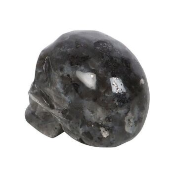 Crâne de cristal de labradorite noire 4