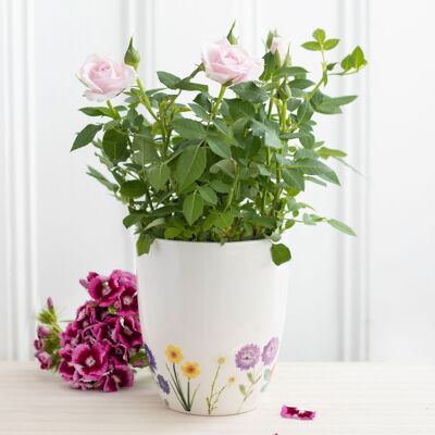 Vaso per piante in ceramica con fiori di campo