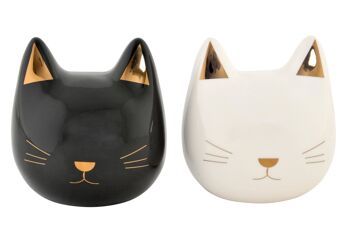 MONEY BOX DOLOMITE 11X9X11,5 CAT 2 ASSORTIMENTS. LD191603 1