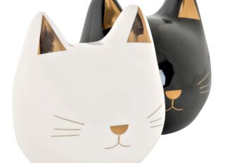 MONEY BOX DOLOMITE 11X9X11,5 CAT 2 ASSORTIMENTS. LD191603 2