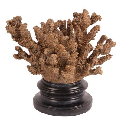 Coral decorativo sobre base 22 cm