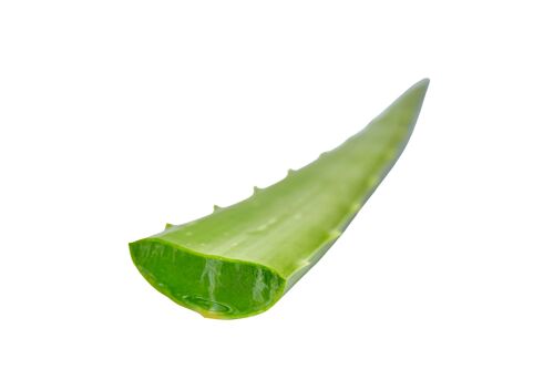 Vonderweid - Foglie di Aloe Vera Italiana | 5 KG