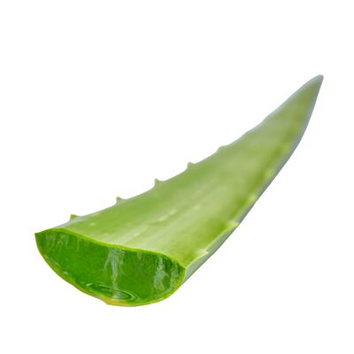 Vonderweid - Hojas italianas de aloe vera | 4 kilos