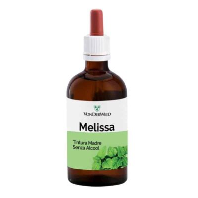 Melisse alkoholfreie Urtinktur 100 ml | Glycerinextrakt aus Melisse | Nahrungsergänzungsmittel