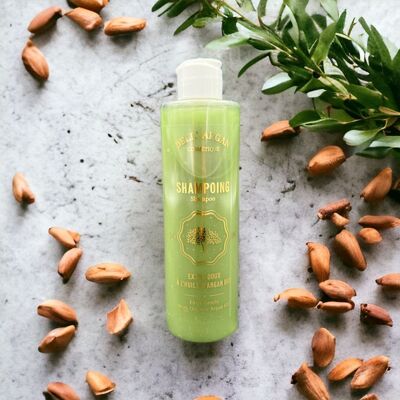 SHAMPOING A L'HUILE D'ARGAN BIO 250ml