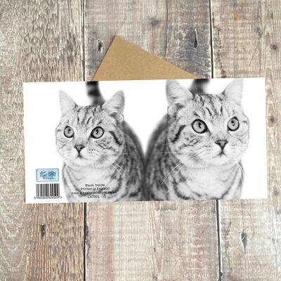 Katzen-Grußkarte – schwarz-weiß getigerte Katze auf der Vorder- und Rückseite dieser Grußkarte