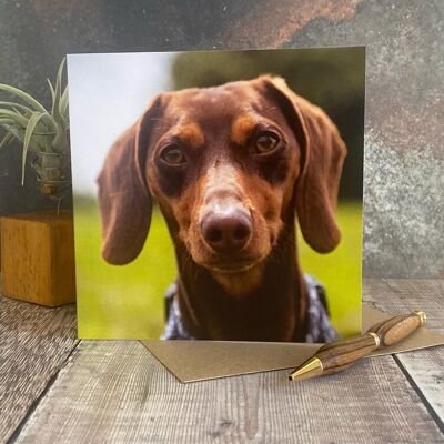Tarjeta de felicitación de perro Daschund - tarjeta de felicitación en blanco con perro