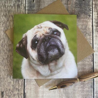 Mops-Grußkarte – Hund – Creme Blanko-Grußkarte mit Mops