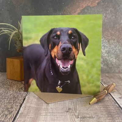 Doberman dog greeting card
