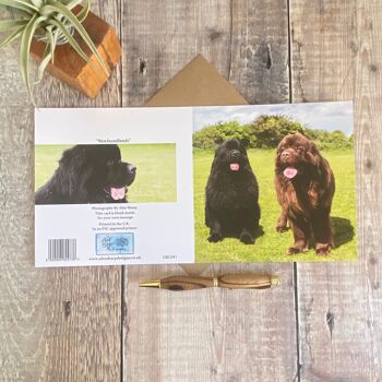 carte de vœux pour chiens de Terre-Neuve - carte de vœux pour chien - carte vierge 2