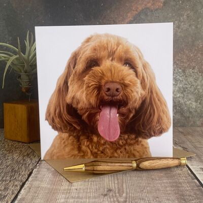 Tarjeta de felicitación para perros Cockapoo - tarjeta de felicitación para perros en blanco