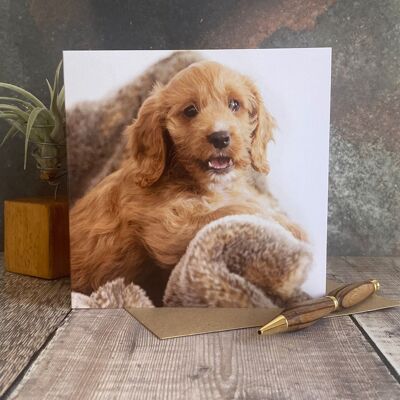 Tarjeta de felicitación Cockapoo - tarjeta de felicitación en blanco cachorro cockapoo