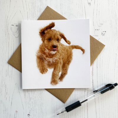 PUPPY COCKAPOO GREETING CARD - fun puppy greeting card for any occasion
