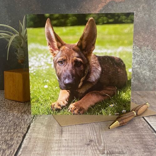 german shepherd puppy greeting card - puppy dog greeting card