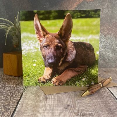 tarjeta de felicitación de cachorro de pastor alemán - tarjeta de felicitación de perro cachorro