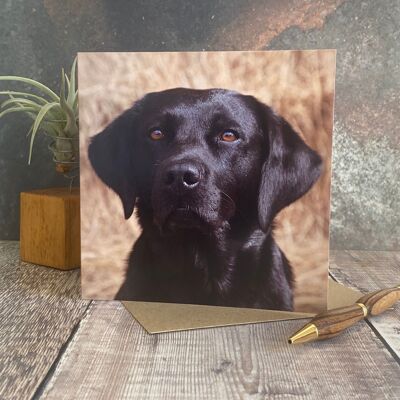 labrador greeting card