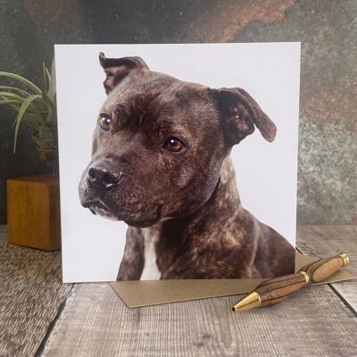 Staffordshire bull terrier greeting card - staffie dog greeting card