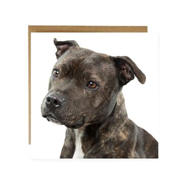 Carte de vœux Staffordshire bull terrier - carte de vœux pour chien staffie 3