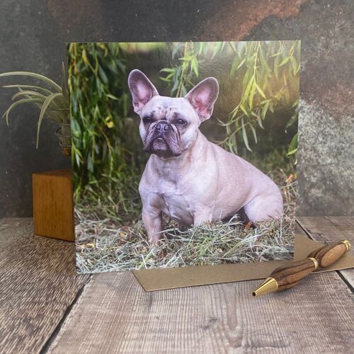 French bulldog card