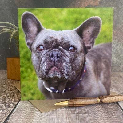 Französische Bulldogge Grußkarte – Blanko-Hundekarte – Hunde-Geburtstagskarte
