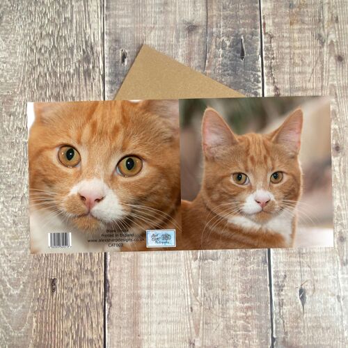 Ginger cat greeting card - cat card