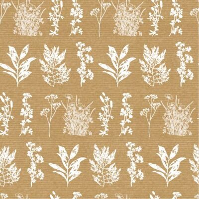 Carta da regalo - Erbario Kraft – bianco – 50 cm x 150 m