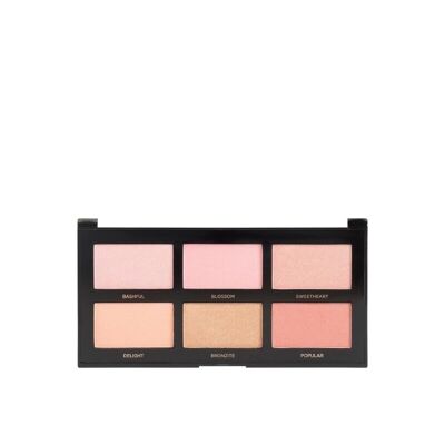 Palette Teint Blush I Mini Artistry