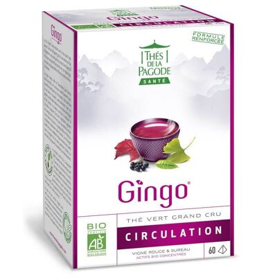 Tè Gingo biologico 60 bustine